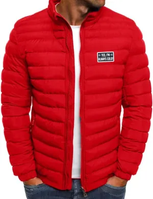 Men's Lightweight Puffer Jacket Hooded Water Resistant Warm Winter Down Jackets for Snow Ski Travel Outdoor Coat